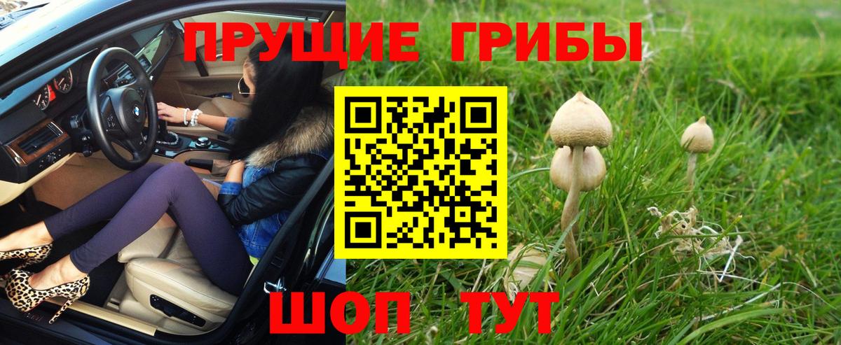 Красноармейск  Псилоцибиновые грибы Magic Shrooms  Вход с VPN  Псилоцибиновые грибы ЛСД 